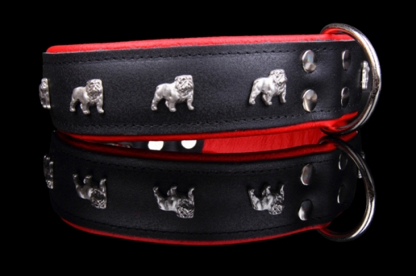 Motiv Halsband Englische Bulldogge Endlish Bulldog Lederhalsband