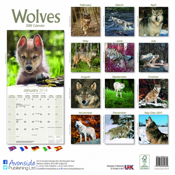 Kalender 2023 Wolf / Wölfe