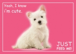 Futternapfunterlage Cute Westie / West Highland White Terrier