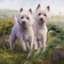 Puzzle West Highland White Terrier Highland Heather